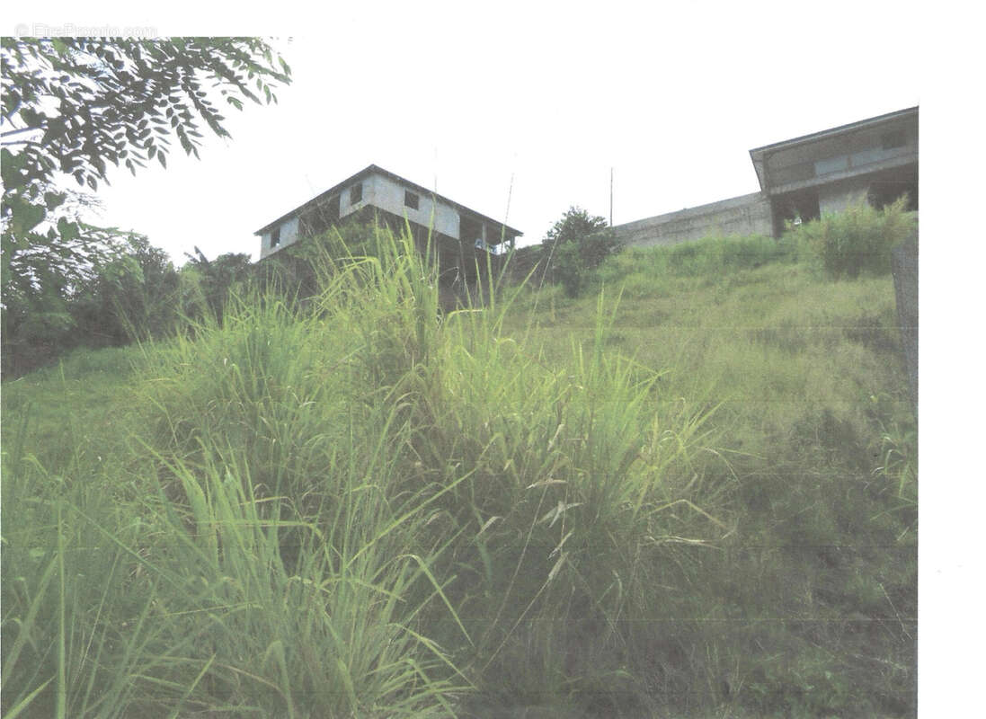 Terrain à SAINTE-LUCE