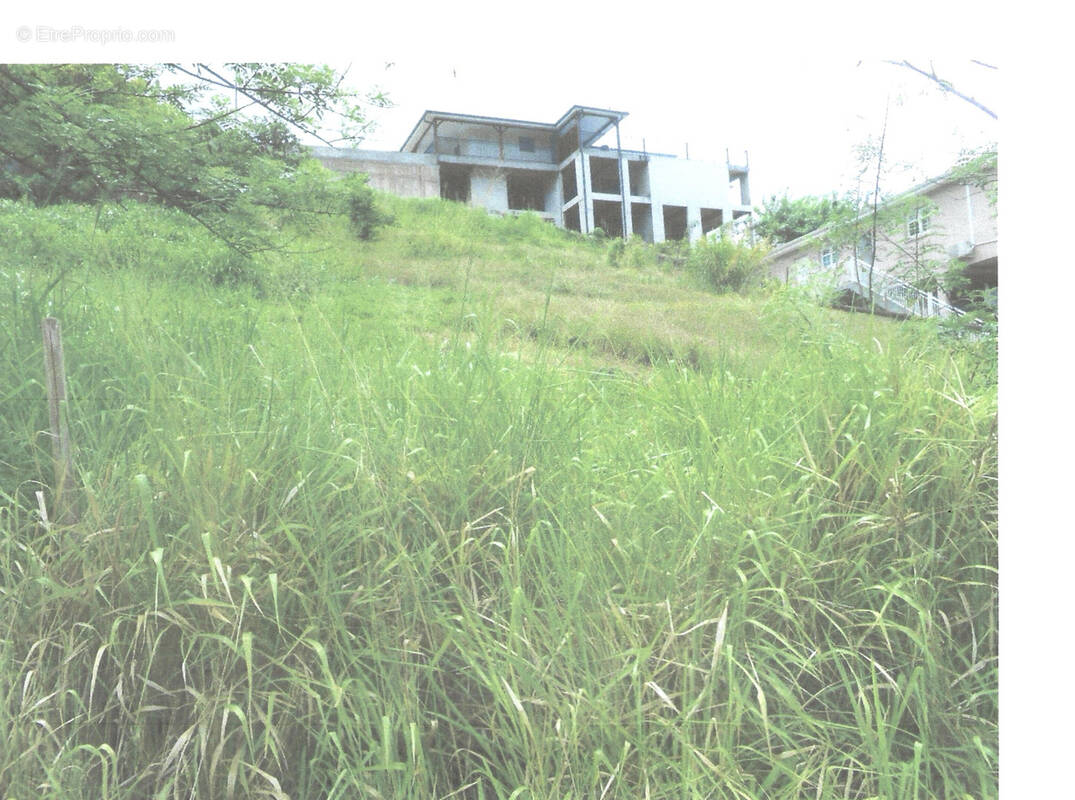 Terrain à SAINTE-LUCE