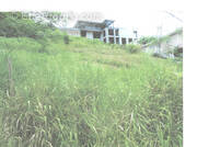 Terrain à SAINTE-LUCE