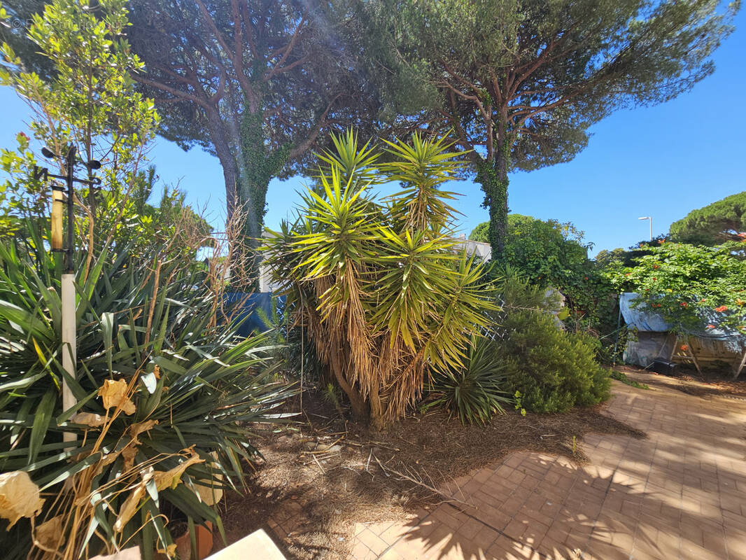 Maison à LA GRANDE-MOTTE