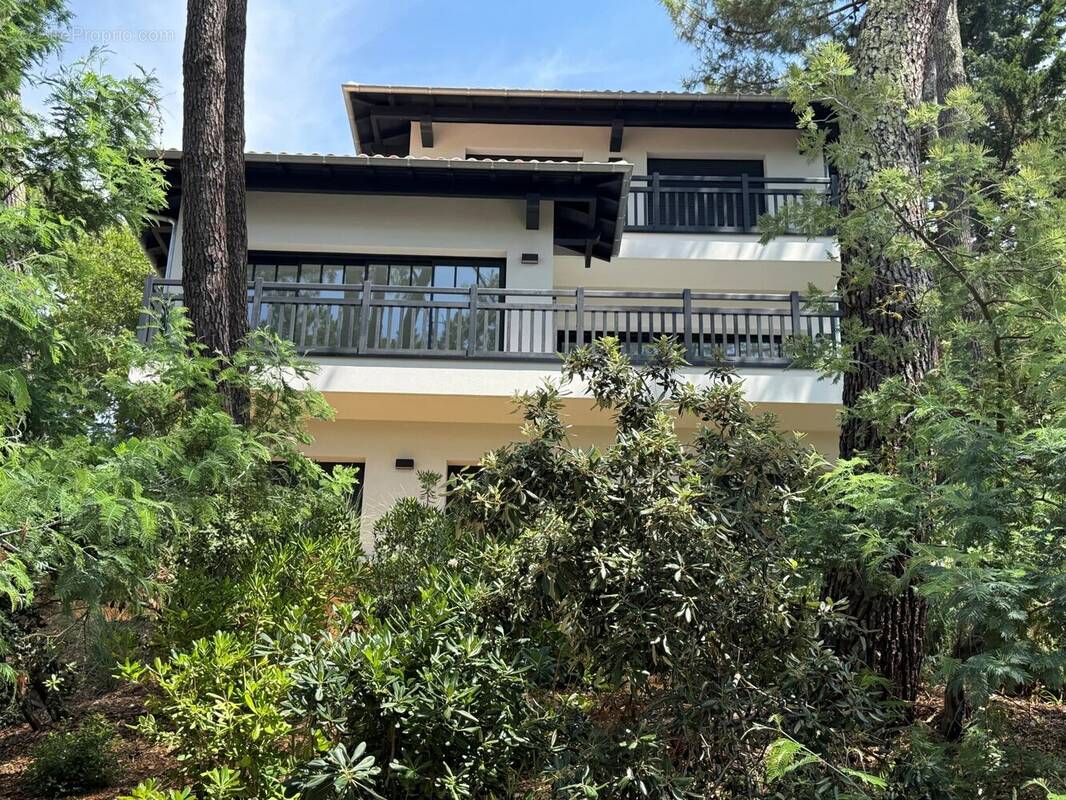 Maison à LE BOUSCAT