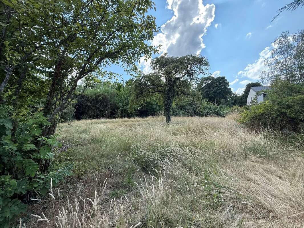 Terrain à BRUYERES-LE-CHATEL