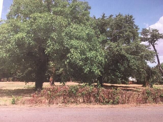 Terrain à SAINT-CAPRAIS