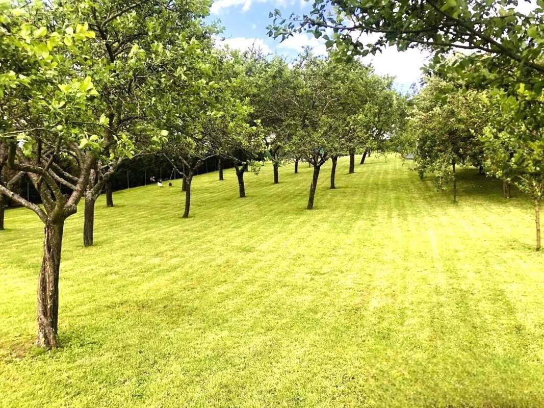 Maison à FAUCONCOURT