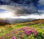 Terrain à GRESY-SUR-AIX