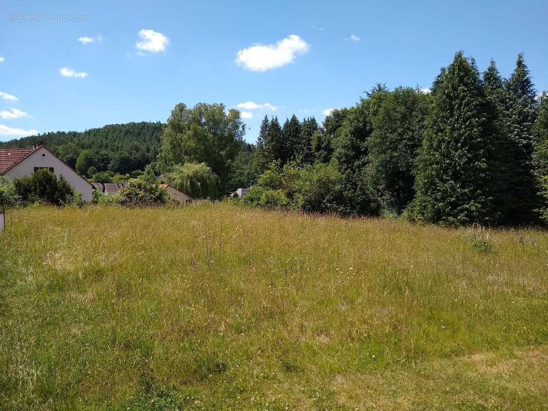 Terrain à BITCHE