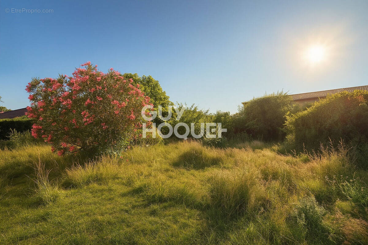 Terrain à GUJAN-MESTRAS