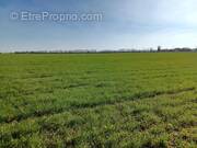 Terrain à SAINT-JEAN-DE-LIVERSAY