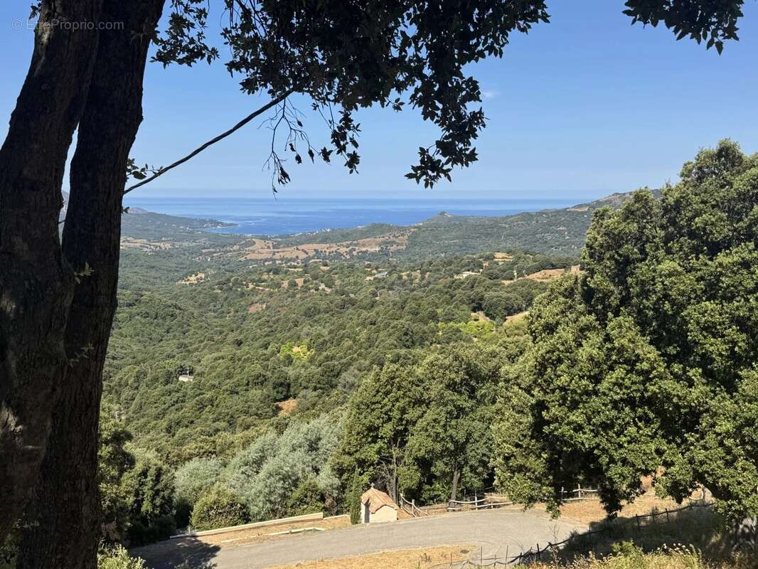 Appartement à SARI-D&#039;ORCINO