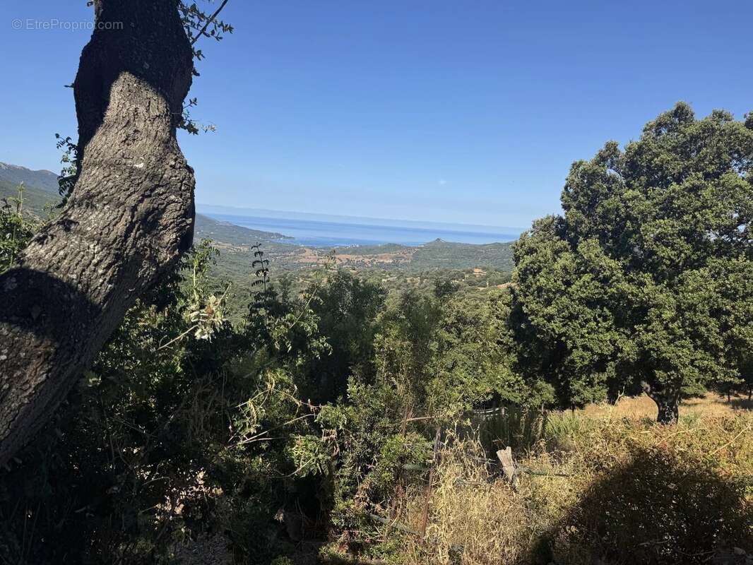 Appartement à SARI-D&#039;ORCINO