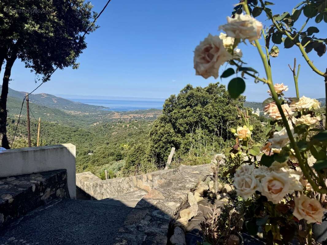 Appartement à SARI-D&#039;ORCINO