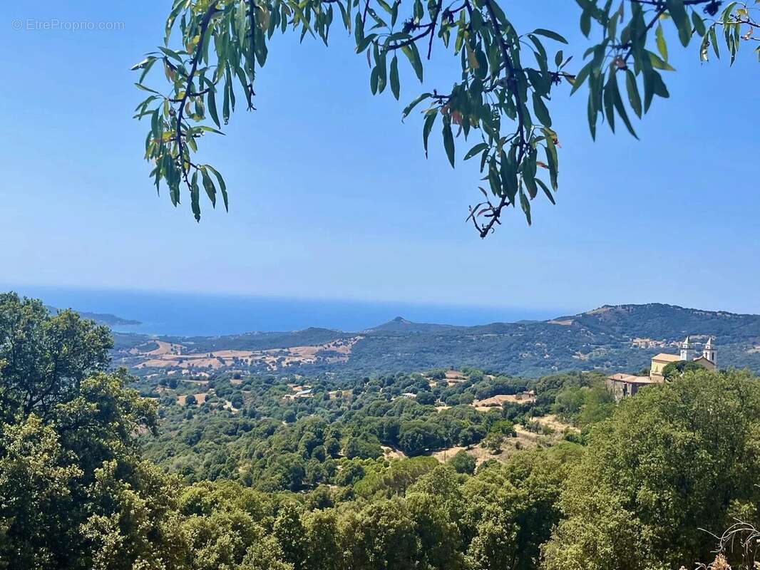 Appartement à SARI-D&#039;ORCINO