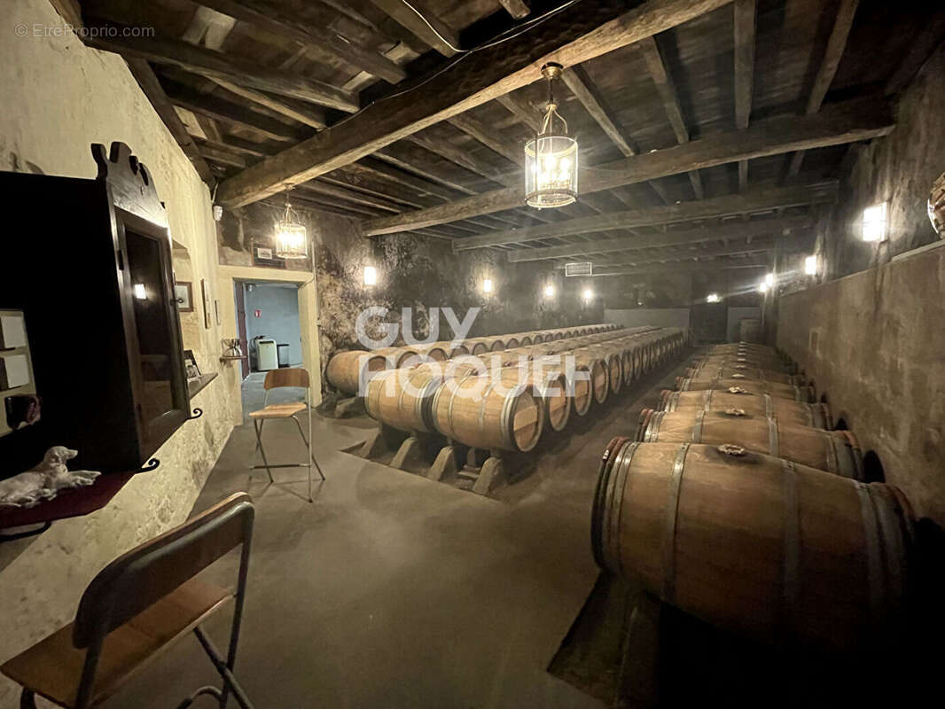 Commerce à PAUILLAC