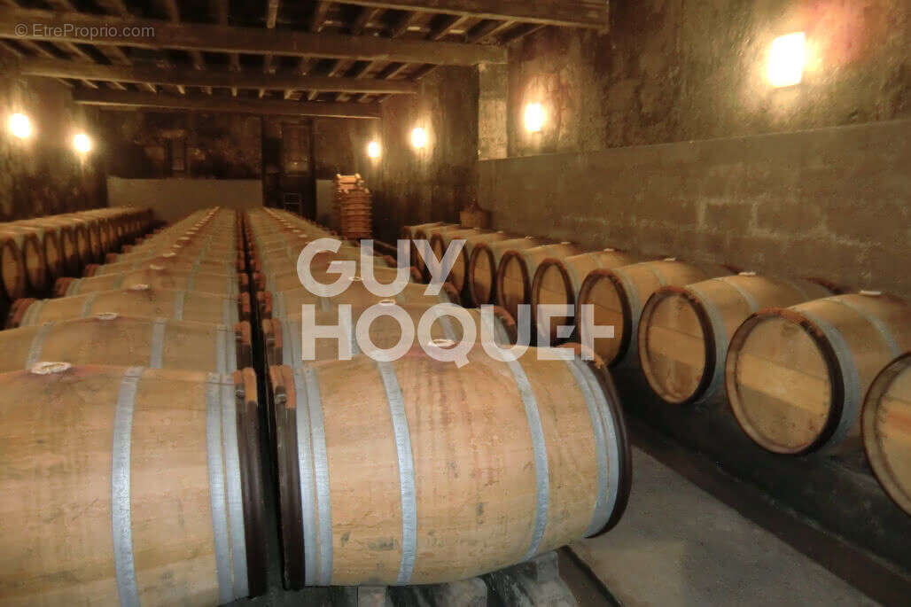 Commerce à PAUILLAC