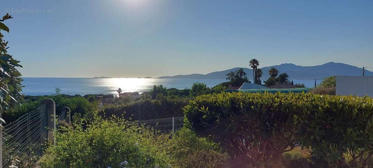 Maison à PIETROSELLA