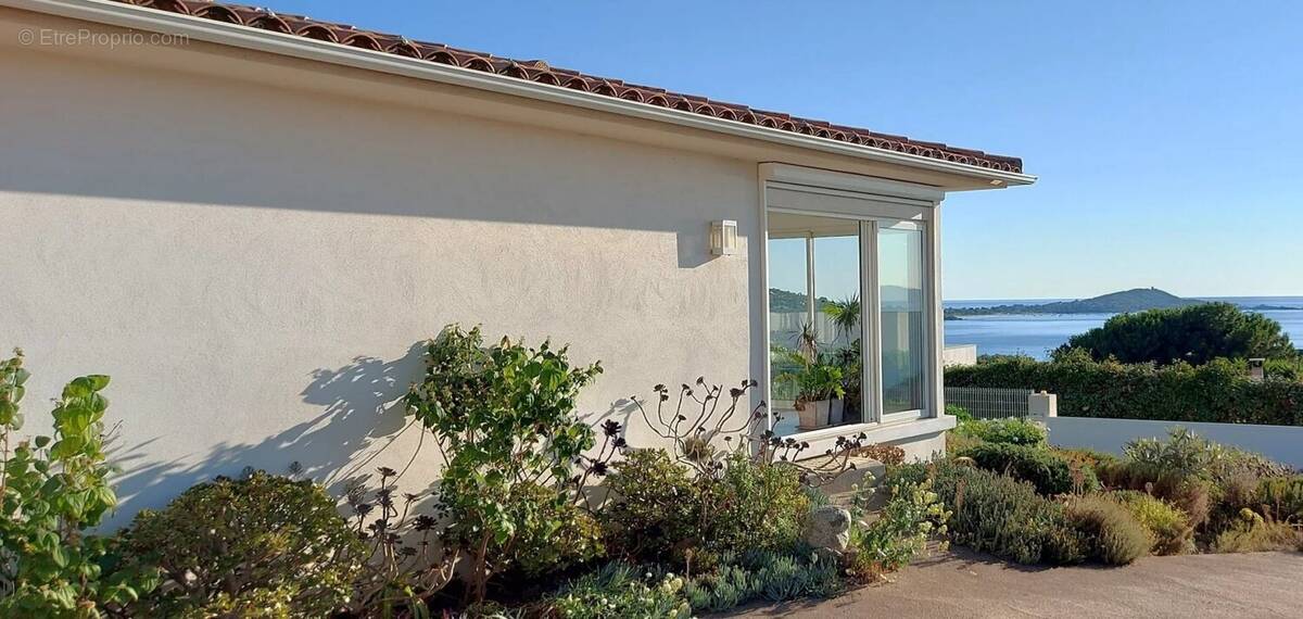 Maison à PIETROSELLA