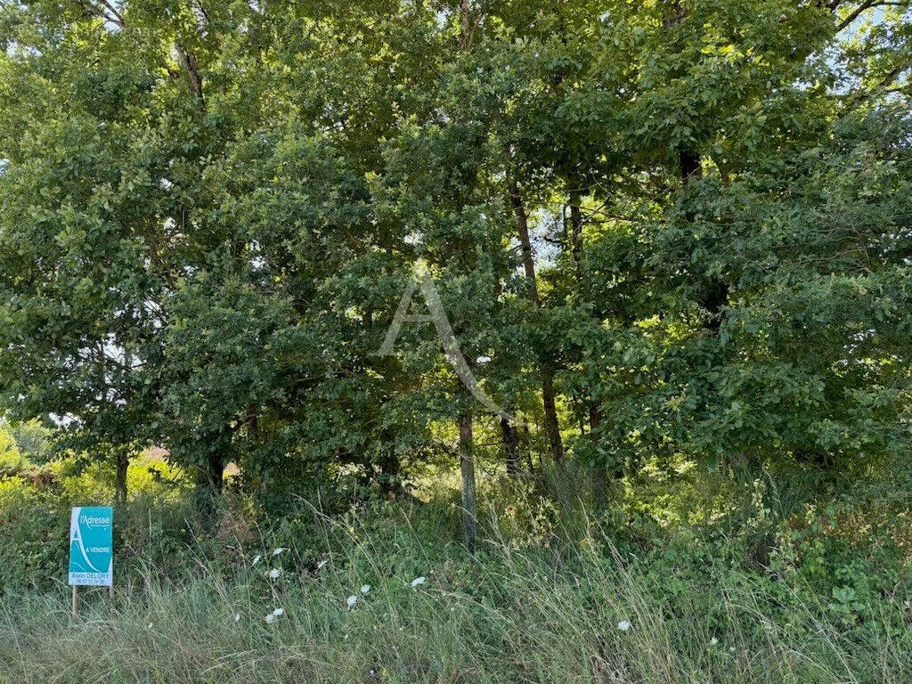 Terrain à MUR-DE-SOLOGNE