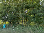 Terrain à MUR-DE-SOLOGNE