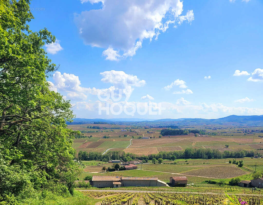 Terrain à SAINT-GEORGES-DE-RENEINS
