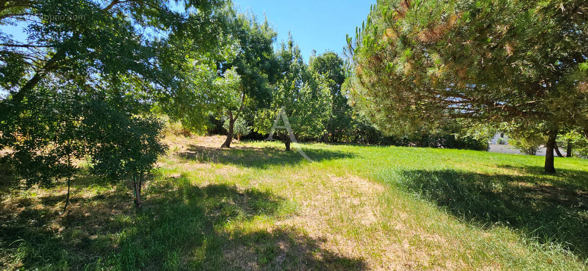 Terrain à CASTELMAUROU