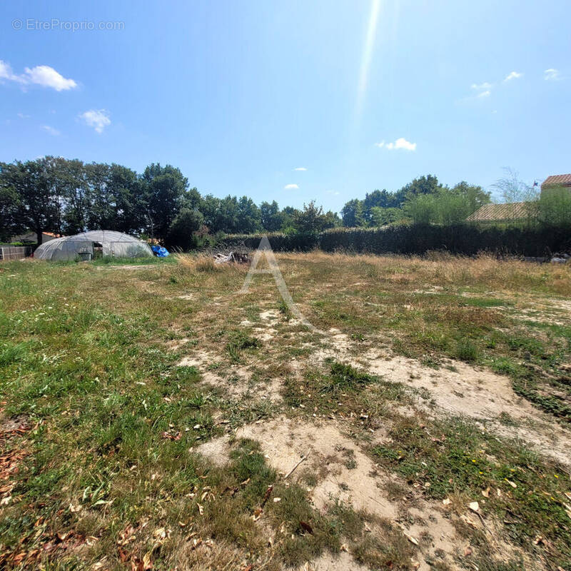 Terrain à AUBIGNY