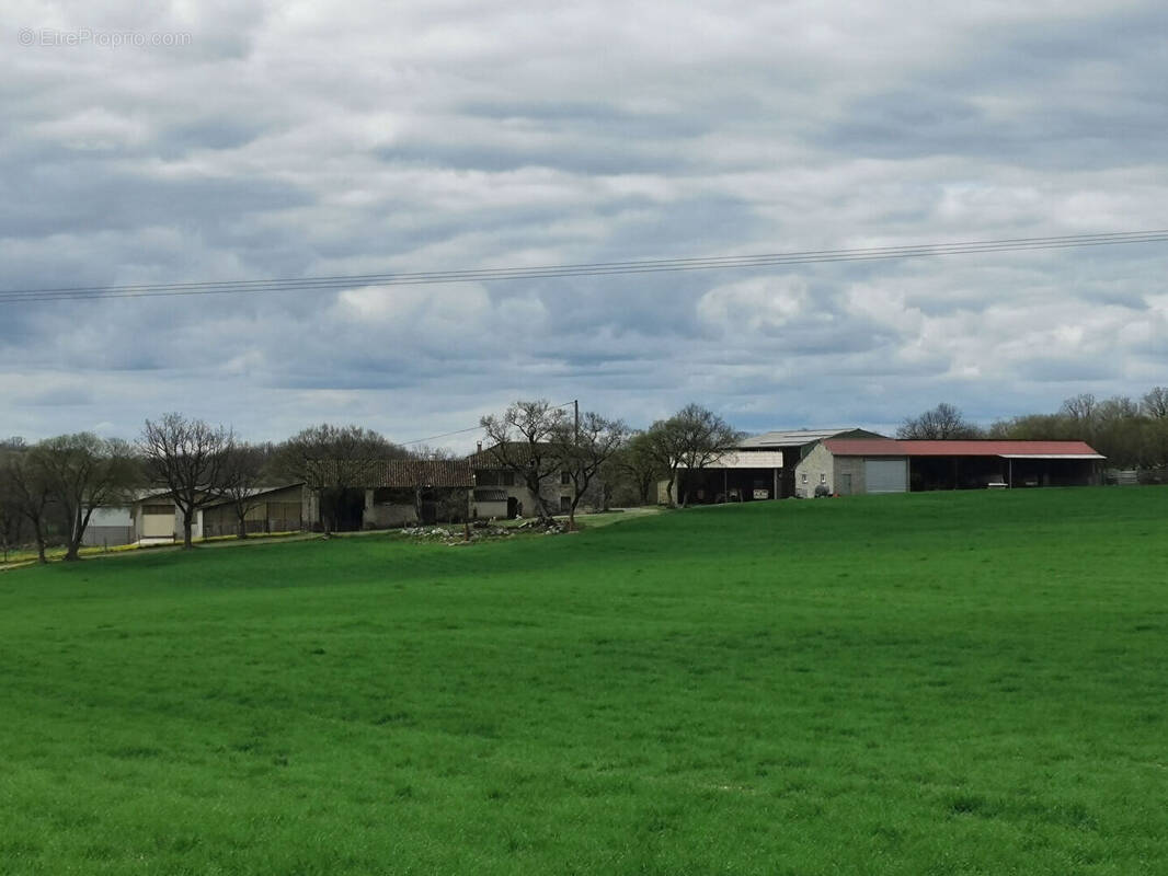 Maison à SAINT-ANTONIN-NOBLE-VAL