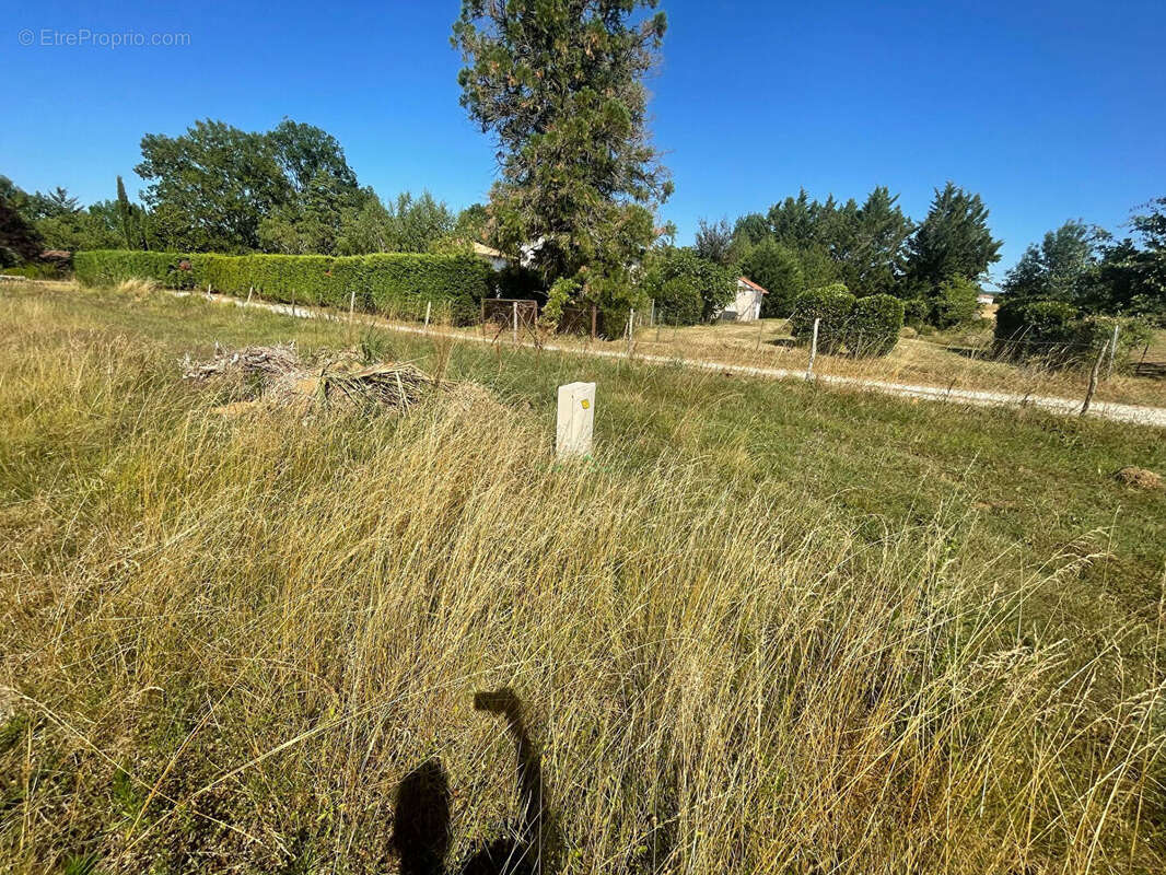 Terrain à PENNE-D&#039;AGENAIS