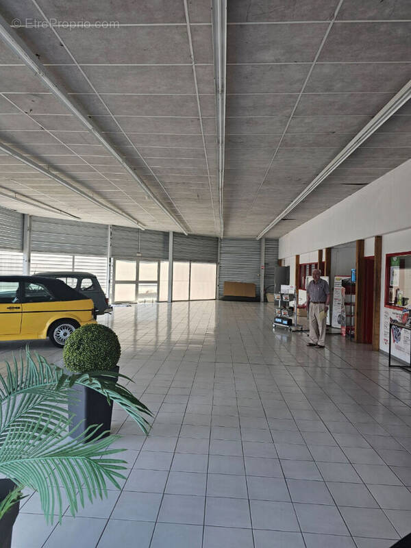 Commerce à BEAUPREAU