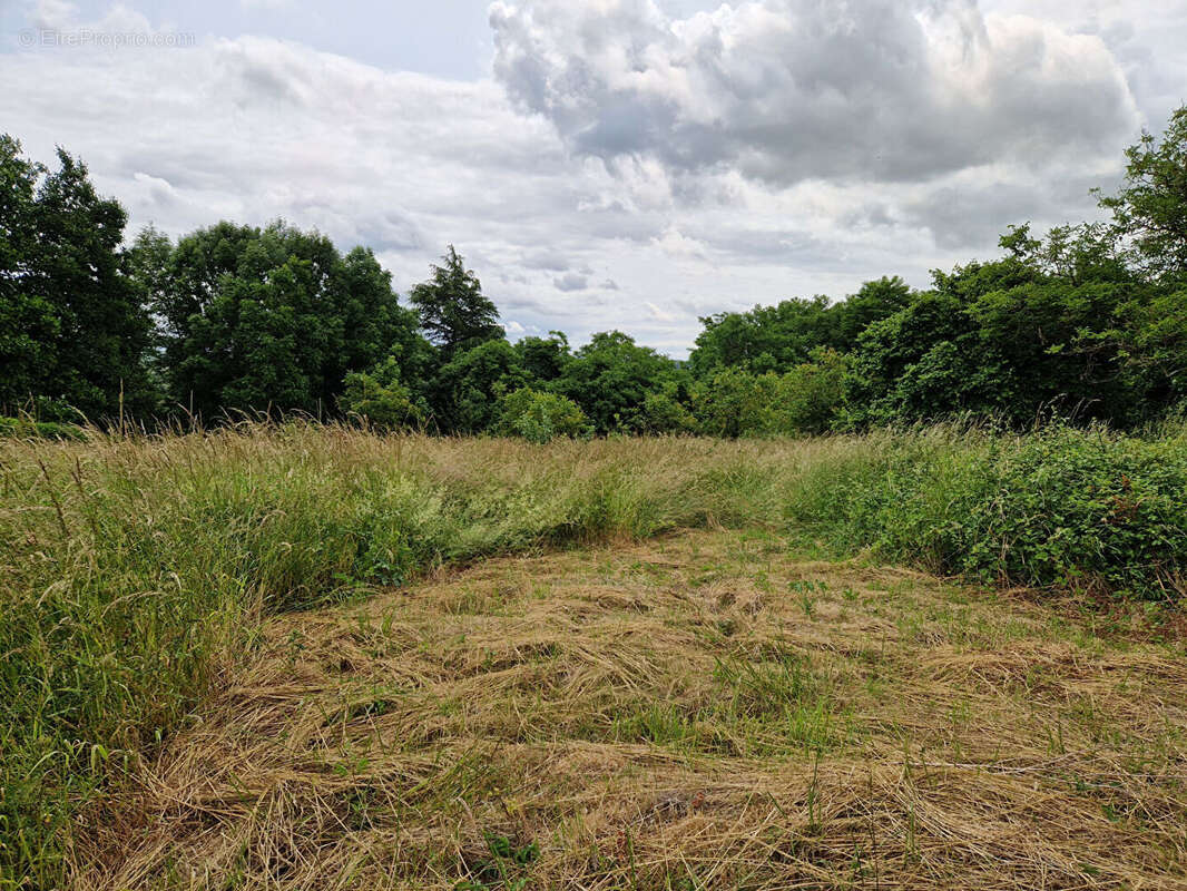 Maison à CHATILLON-SUR-CHER
