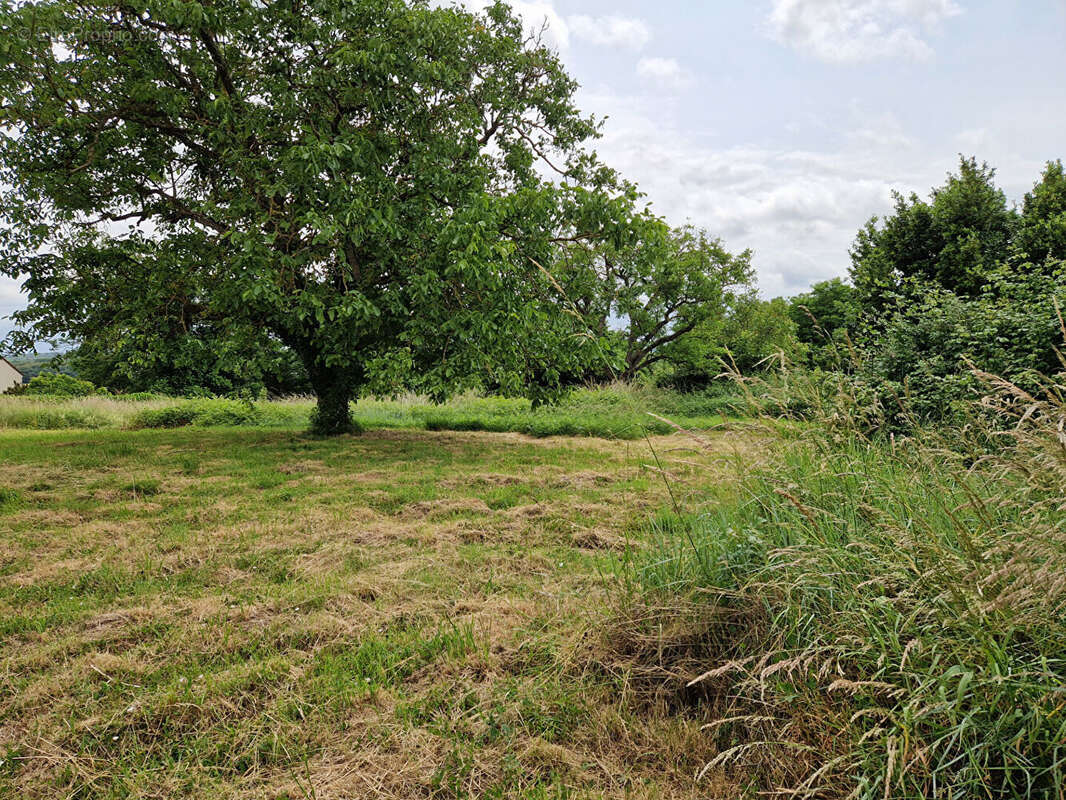 Maison à CHATILLON-SUR-CHER
