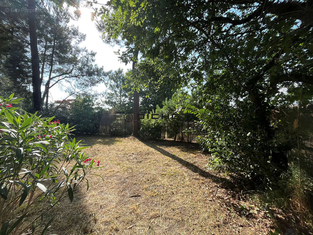 Appartement à ANDERNOS-LES-BAINS