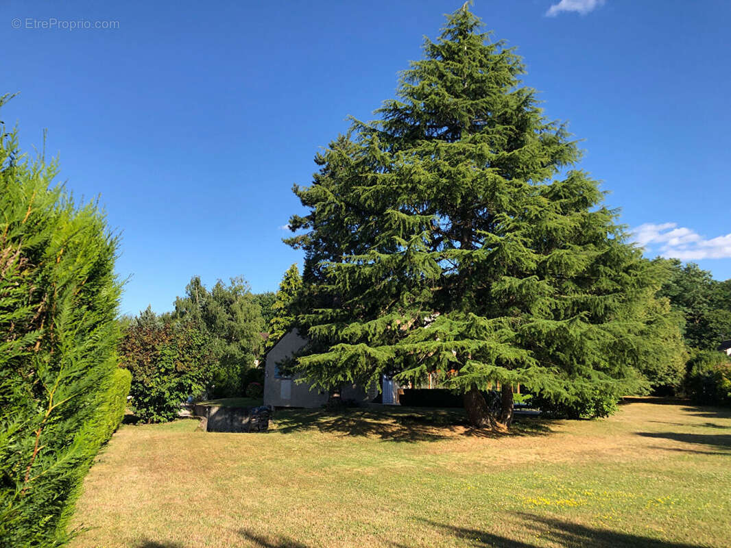 Maison à MONTFORT-L'AMAURY