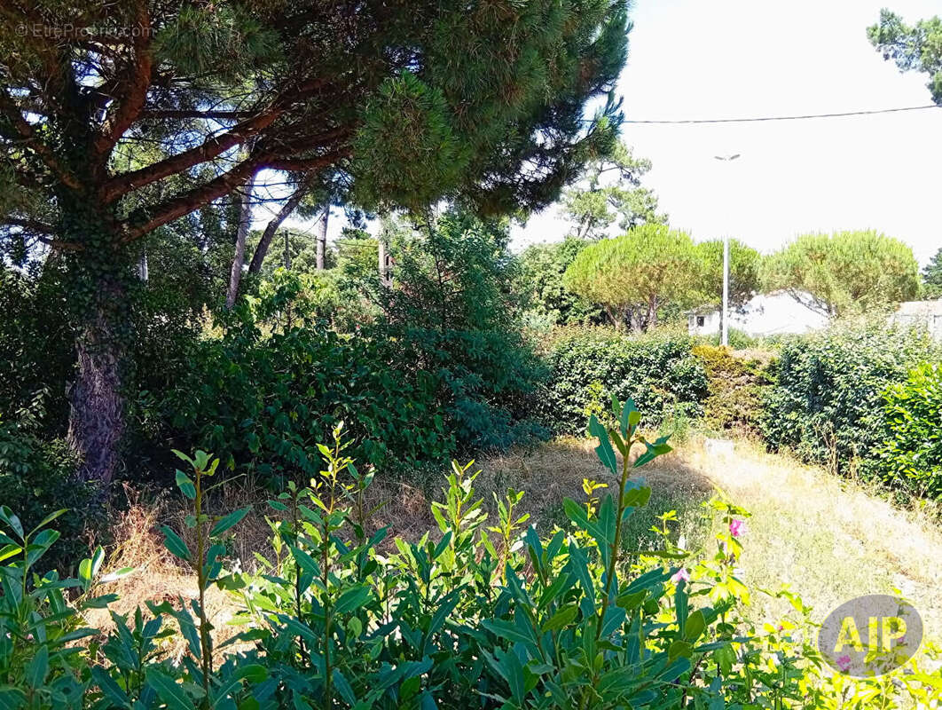 Maison à SAINT-BREVIN-LES-PINS