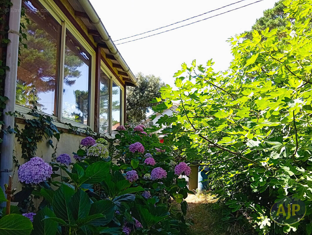 Maison à SAINT-BREVIN-LES-PINS