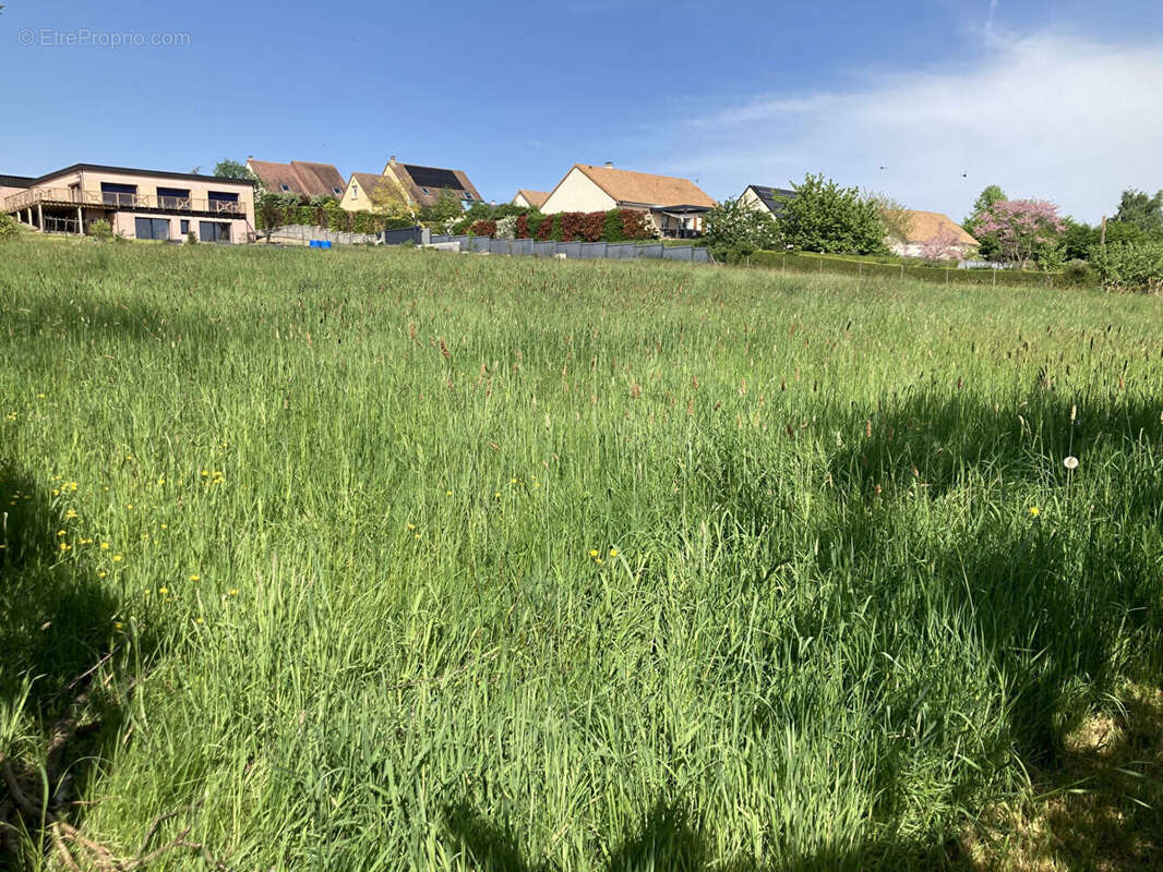 Maison à CONDE-SUR-NOIREAU