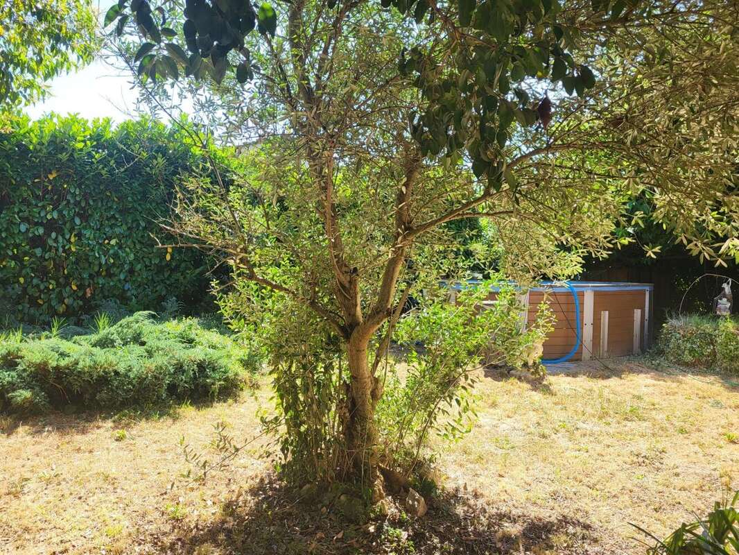 Photo 2 - Maison à CASTELGINEST