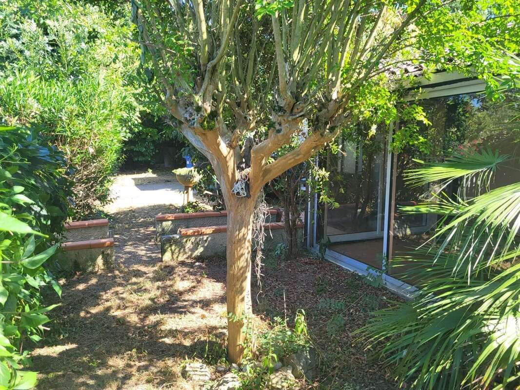 Photo 3 - Maison à CASTELGINEST