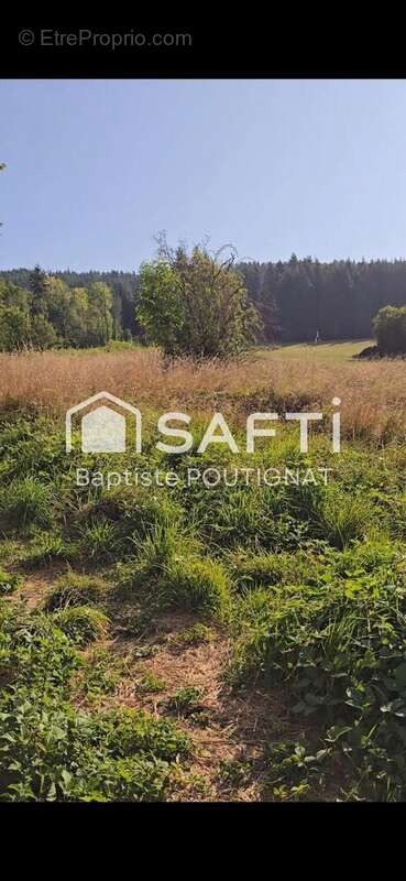 Photo 4 - Maison à AMBERT