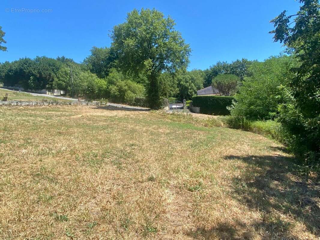 Photo 3 - Terrain à PAYRIN-AUGMONTEL