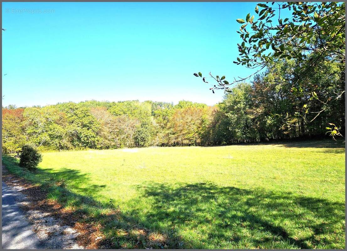 Photo 1 - Terrain à CARLUX