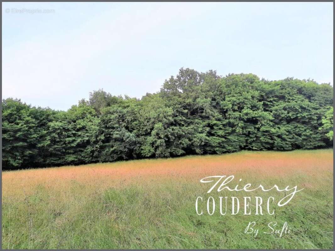 Photo 3 - Terrain à CARLUX