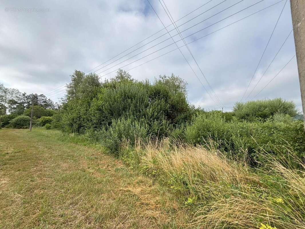 Photo 2 - Terrain à PONT-DE-POITTE