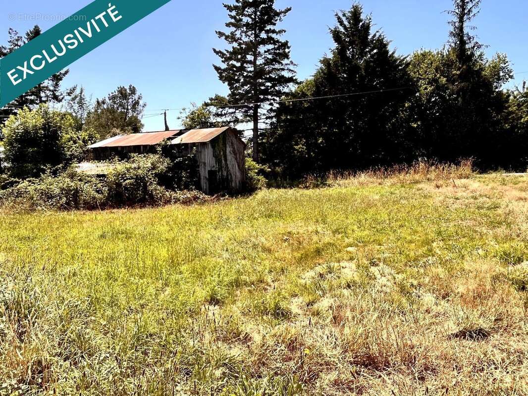 Photo 8 - Maison à PIPRIAC