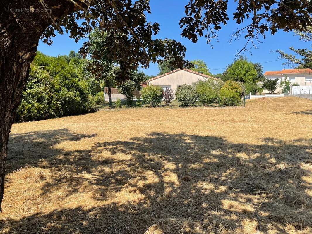 Photo 2 - Terrain à RUELLE-SUR-TOUVRE