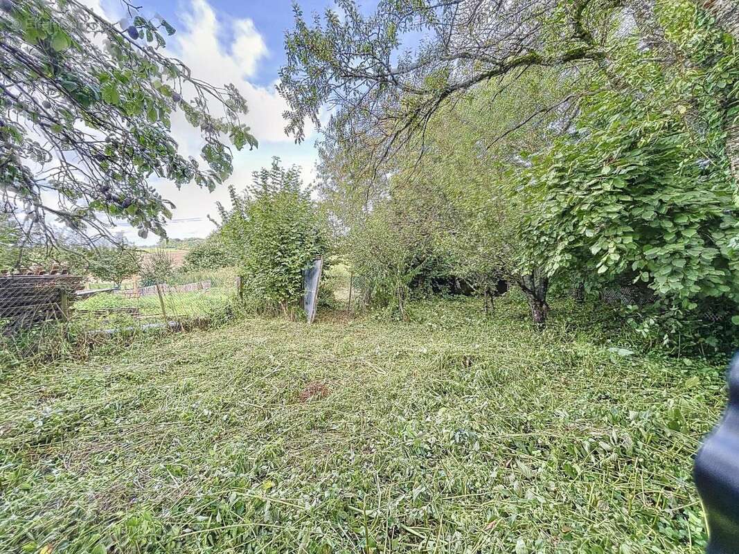 Photo 9 - Maison à VILLERS-LE-TILLEUL