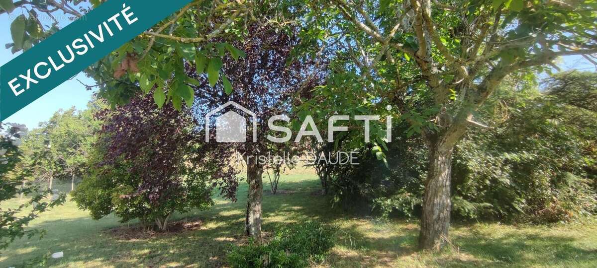 Photo 5 - Terrain à MONTAUBAN