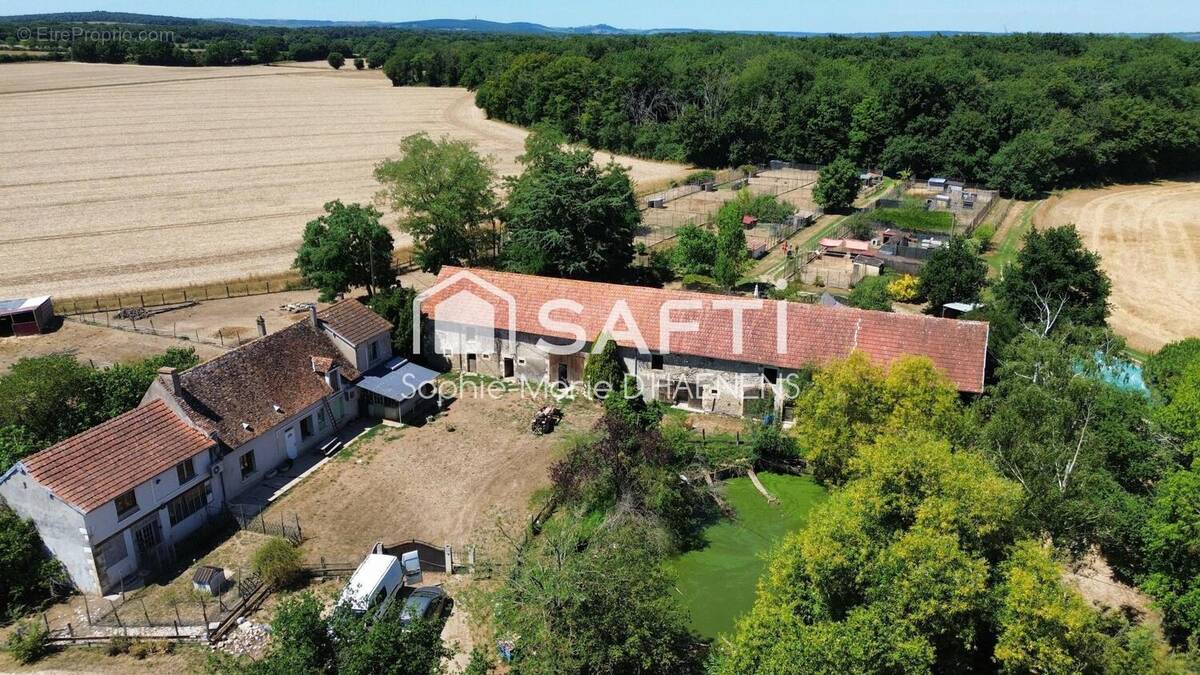 Photo 1 - Commerce à HERRY