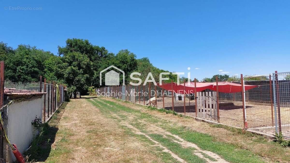 Photo 7 - Commerce à HERRY