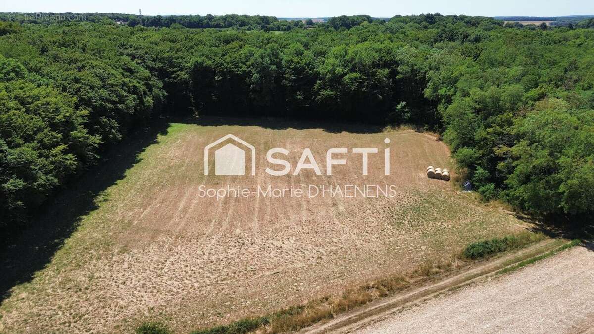 Photo 8 - Commerce à HERRY