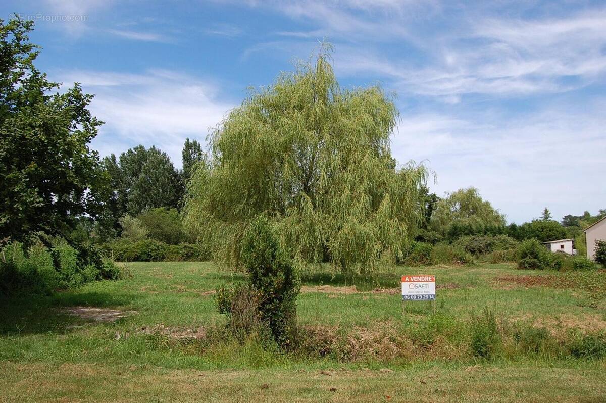 Photo 1 - Terrain à ETAULIERS